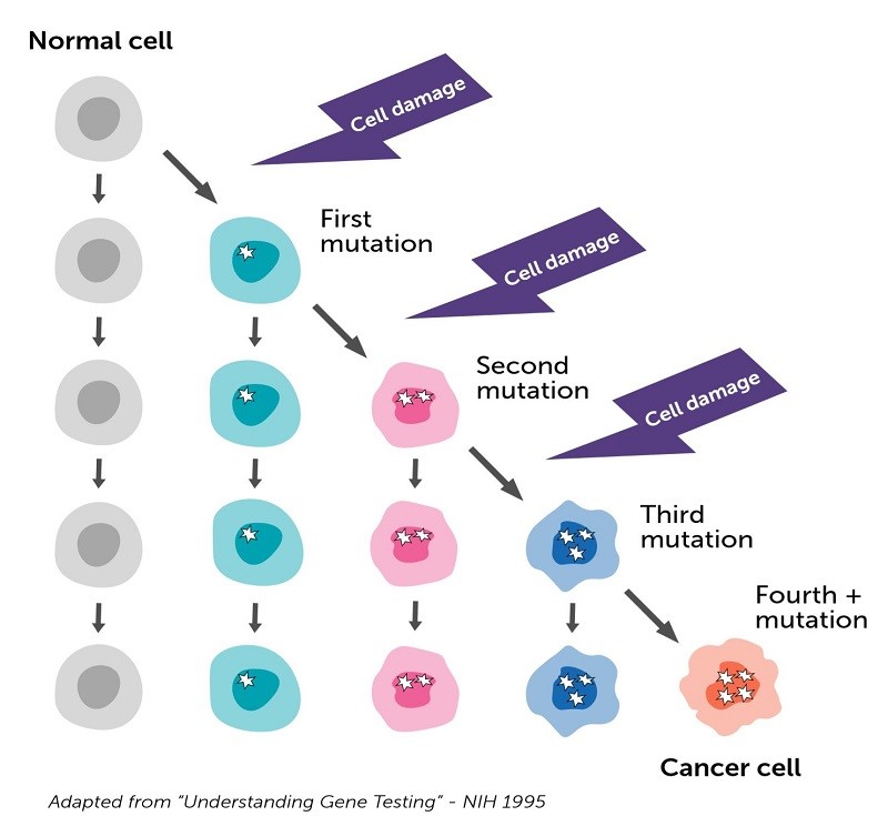 Mối liên hệ giữa gen và ung thư di truyền ở người | Medlatec